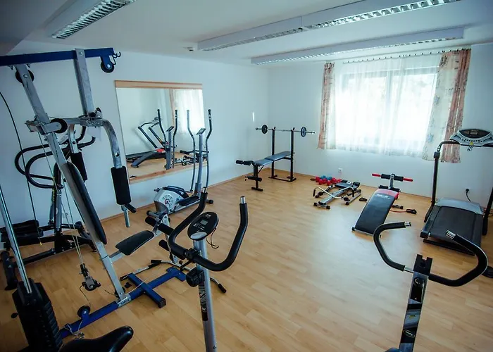 Otel Hrc Panzio 3*