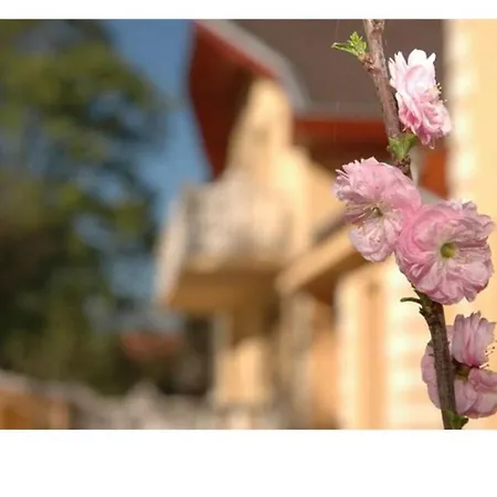 Hrc Panzio Hotel 3*